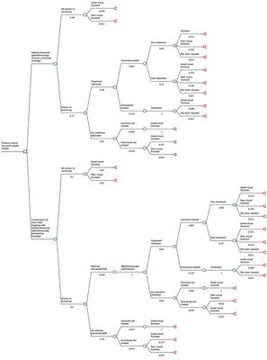 Cost–Utility Analysis of Wide-Field Imaging as an Auxiliary Technology for Retinopathy of Prematurity Care in Brazil